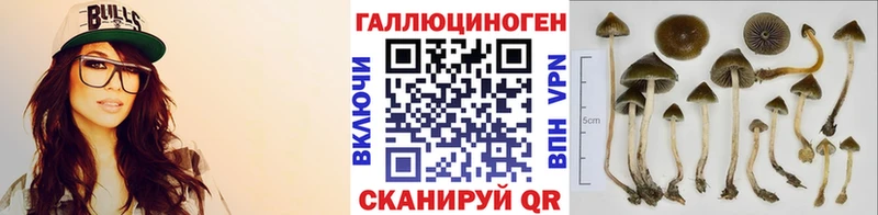 Псилоцибиновые грибы MAGIC MUSHROOMS Хадыженск